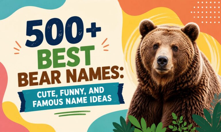 500+ Best Bear Names: Cute, Funny, and Famous Name Ideas