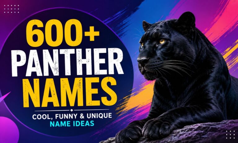 600+ Panther Names: Cool, Funny & Unique Name Ideas