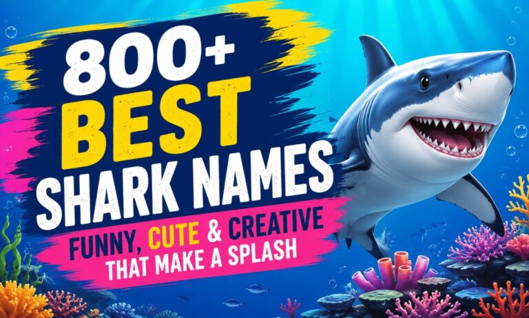 800+ Best Shark Names: Funny, Cute & Creative That Make a Splash