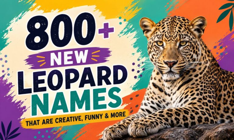 800+ New Leopard Names That are Creative, Funny & More